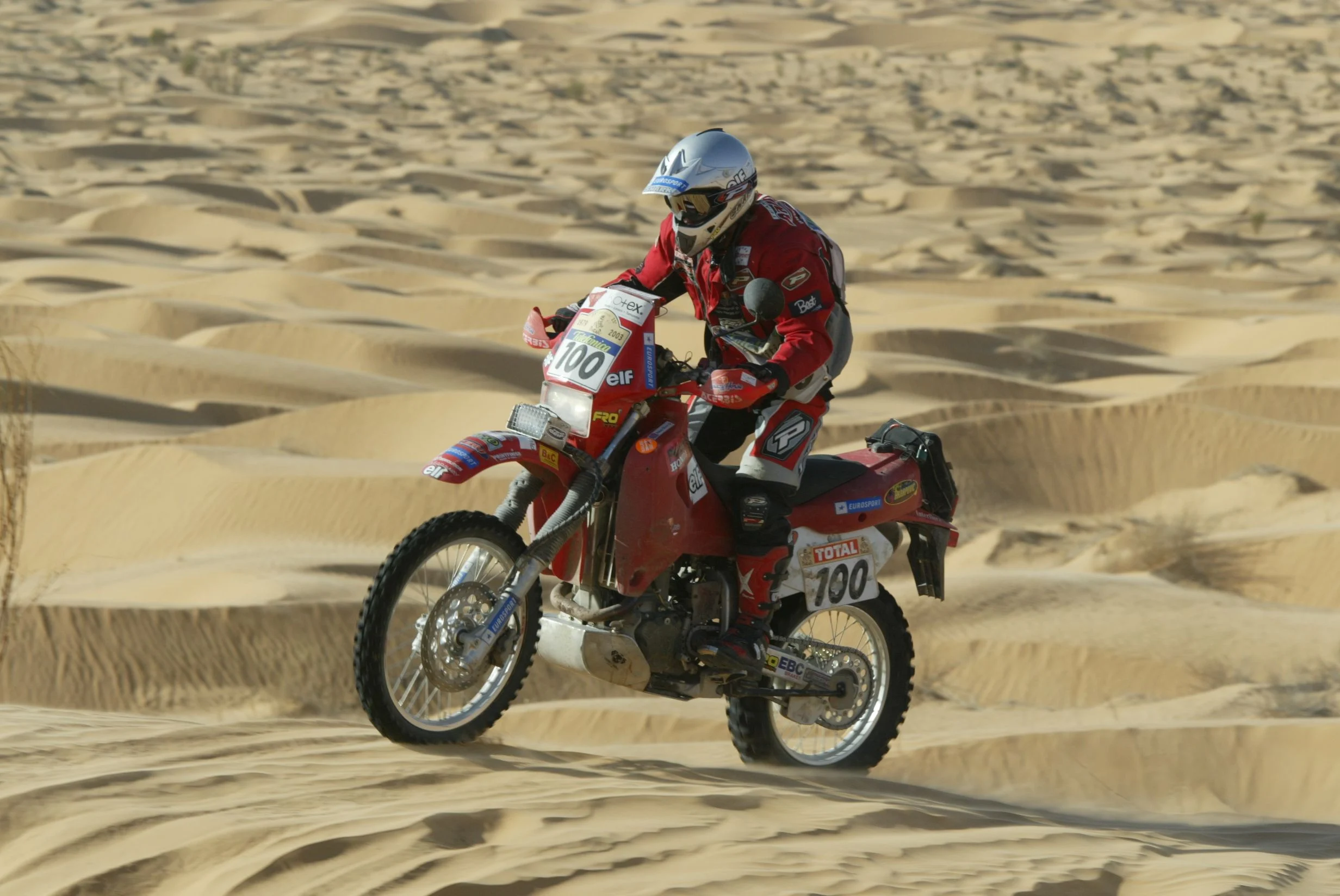 the-next-chapter - Desert Rose Riding Academy