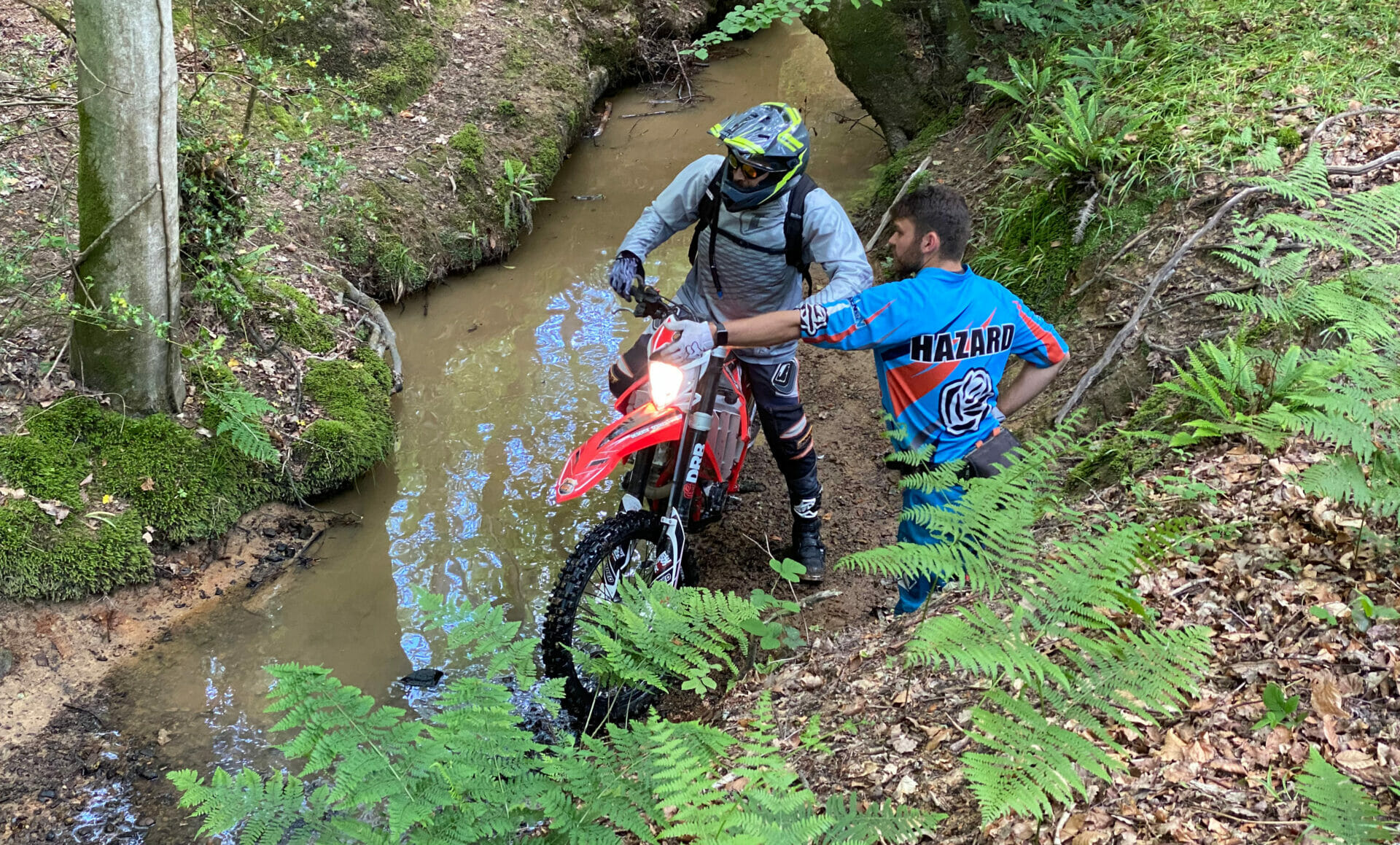 Homepage Desert Rose Riding Academy